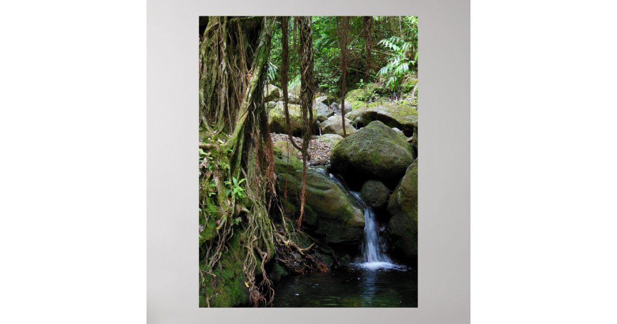 Hawaiian Waterfall Poster | Zazzle