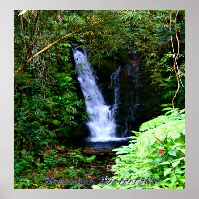 Hawaiian Waterfalls Poster (Front)