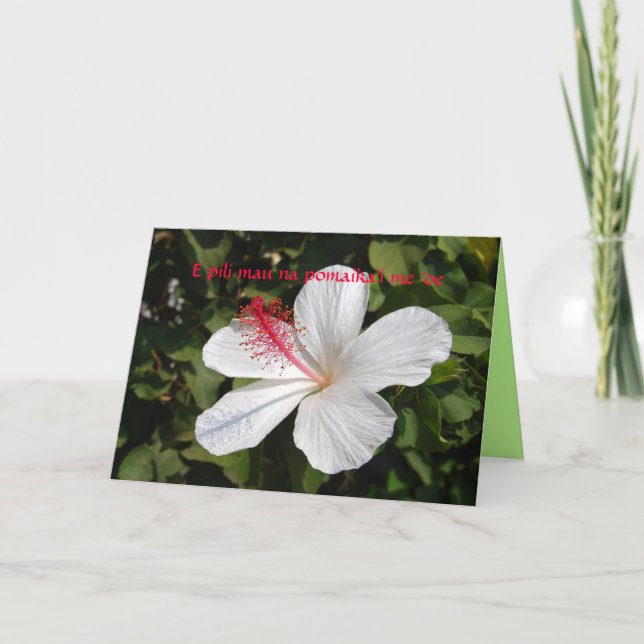 Hawaiian Wedding Best Wishes White Hibiscus Card (Front)