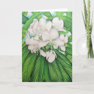 Hawaiian White Ginger Card