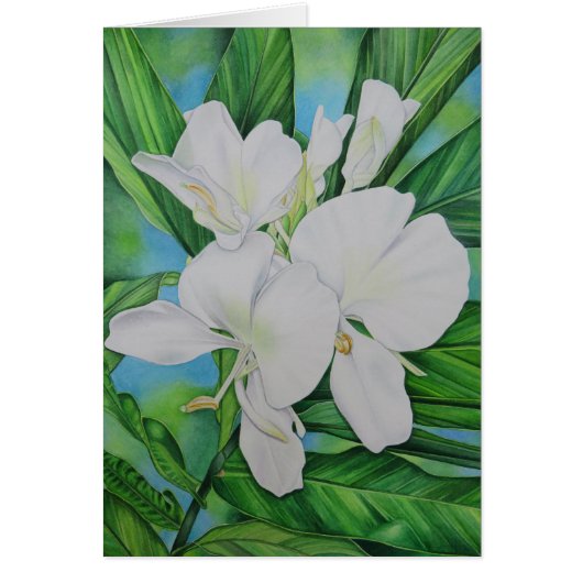 Hawaiian White Ginger Cards (Front)