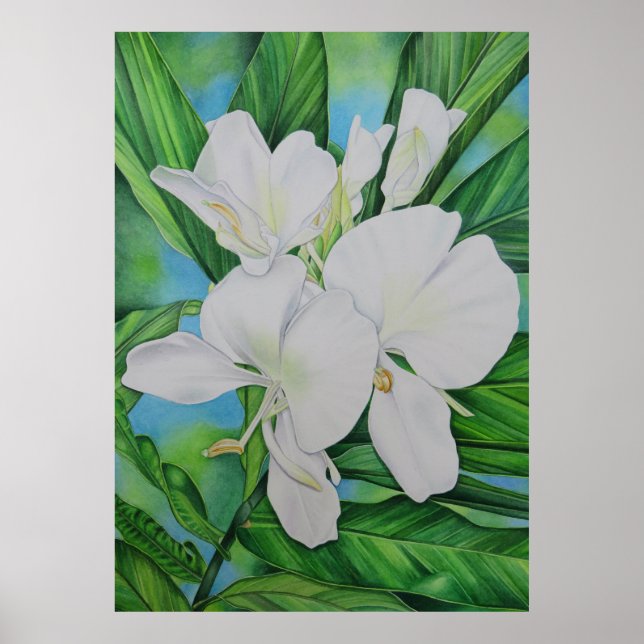 Hawaiian White Ginger Poster (Front)