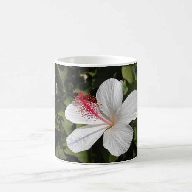 Hawaiian White Hibiscus Coffee Mug (Center)