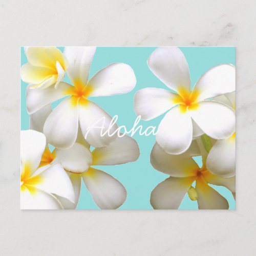 Hawaiian white plumeria blue ポストカード postcard