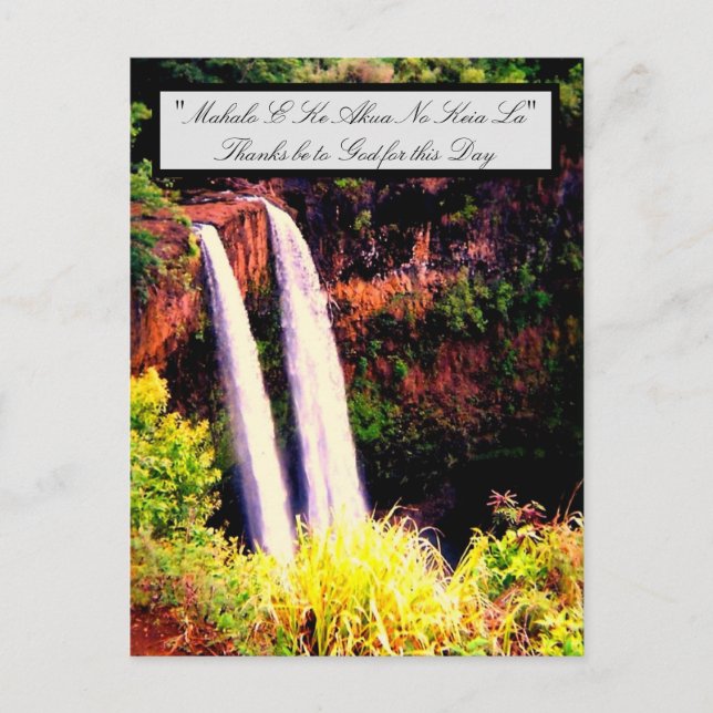 Hawaiian Words and Quotes Postcard (Front)