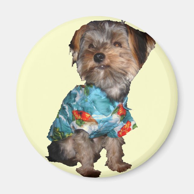 Hawaiian Yorkie Magnet (Front)