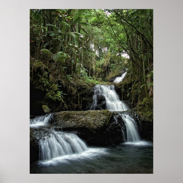 HAWAII'S ONOMEA FALLS POSTER (Front)