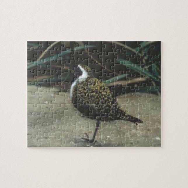 Hawk Bird Jigsaw Puzzle (Horizontal)