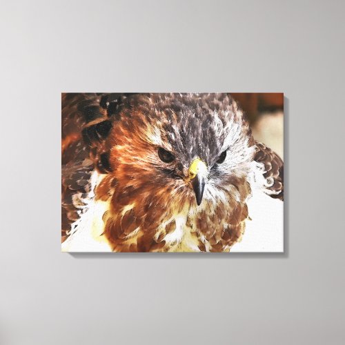 HAWK CANVAS PRINT