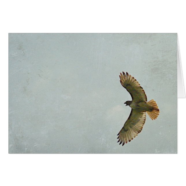 Hawk Cards (Front Horizontal)
