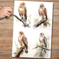 Hawk Collage 1 Decoupage Paper