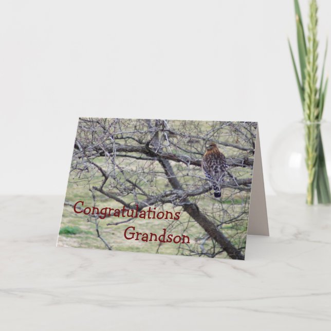 Hawk Congratulations - customize any occasion Card (Front)