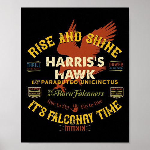 Hawk Falconry Design Harris Hawk Falconry Supplies Poster