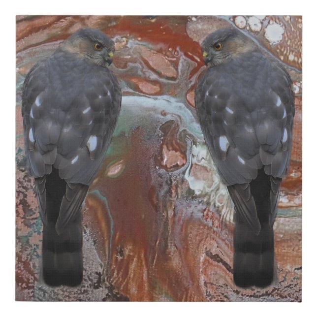 Hawk Faux Canvas Print (Front)