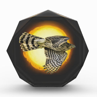 Hawk Fire Acrylic Award