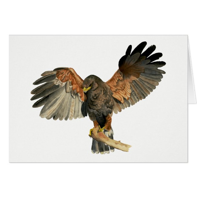 Hawk Flapping Wings Watercolor Painting