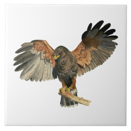 Hawk Flapping Wings Watercolor Painting Ceramic Tile