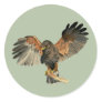 Hawk Flapping Wings Watercolor Painting Classic Round Sticker