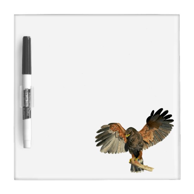 Hawk Flapping Wings Watercolor Painting Dry Erase Board (Front)