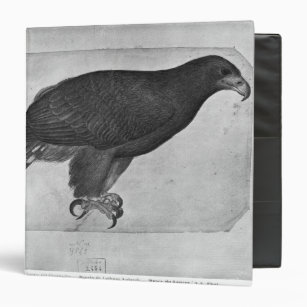 Personalize Your Own Falcon Bird Binder Stay Organized