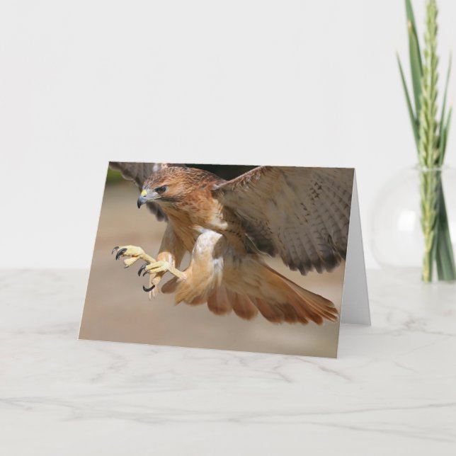 Hawk Greeting Card (Front)
