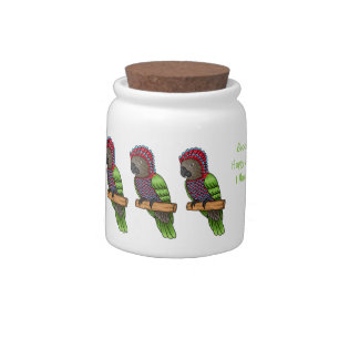 Hawk headed parrot bird cartoon illustration candy jar