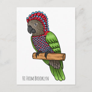Hawk headed parrot bird cartoon illustration   postcard