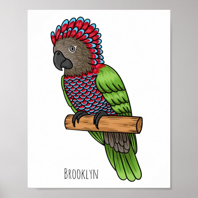 Hawk headed parrot bird cartoon illustration poster (Front)