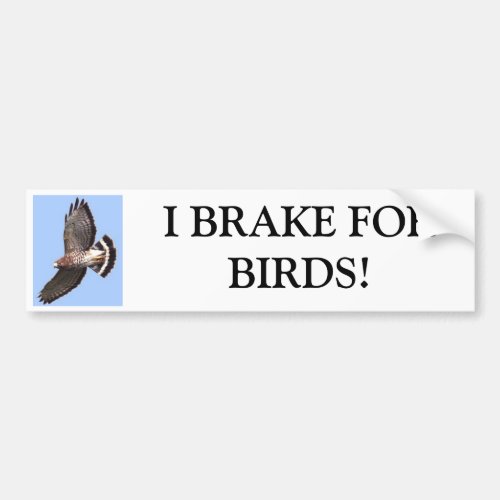 Hawk I BRAKE FORBIRDS Bumper Sticker