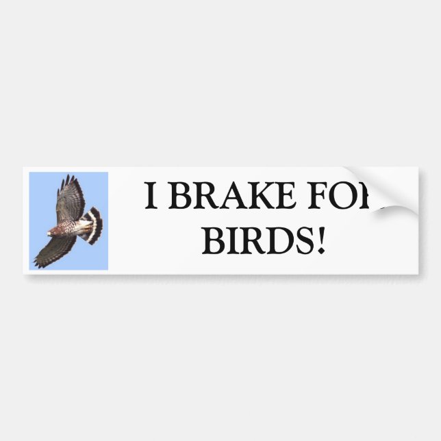 Hawk, I BRAKE FORBIRDS! Bumper Sticker (Front)