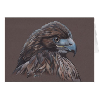 Hawk in Colored Pencil