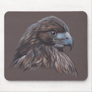 Hawk in Colored Pencil Mouse Pad