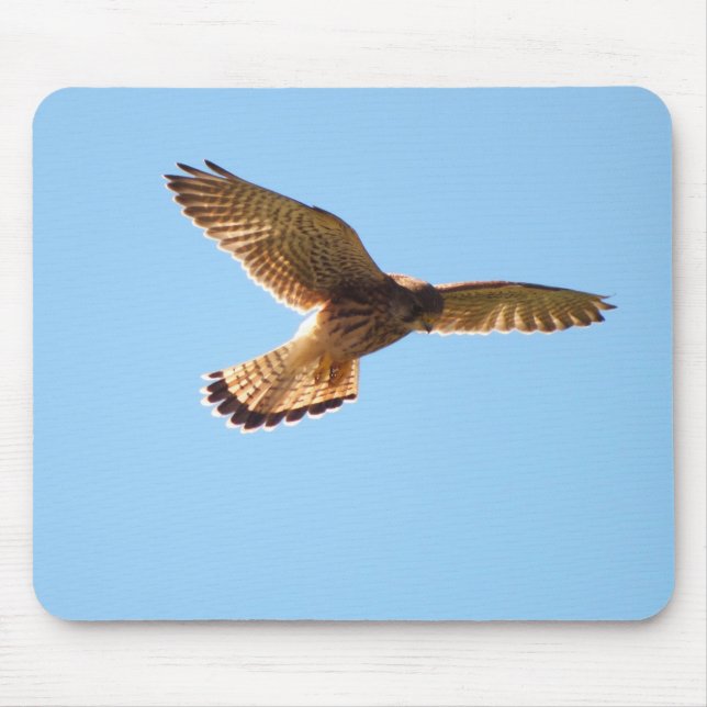 Hawk in flight mouse pad (Front)