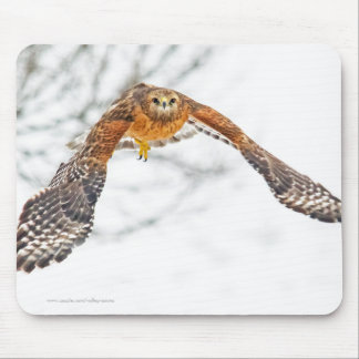 Hawk in Flight Mouse Pad