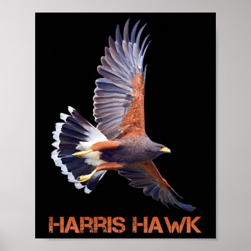 Hawk Kamala Harris For President  Poster