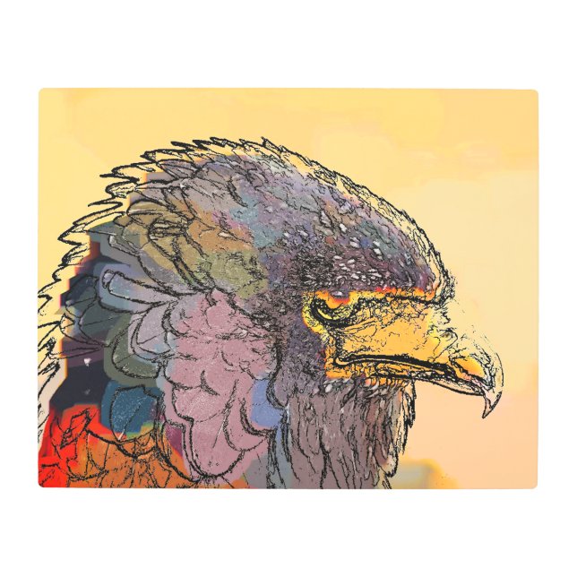 HAWK METAL PRINT (Front)