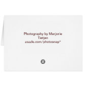 Hawk Notecard (Back Horizontal)