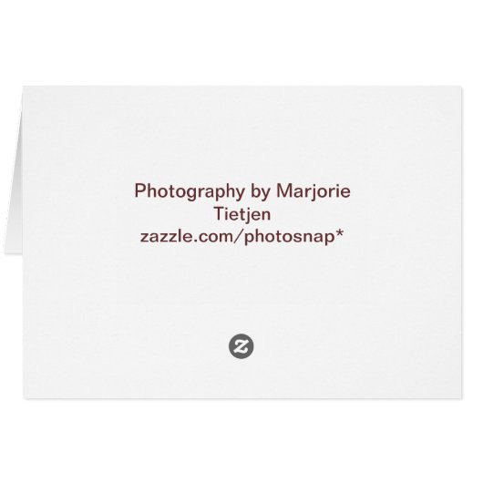 Hawk Notecard (Back Horizontal)