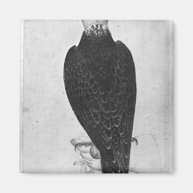 Hawk on hand magnet (Front)