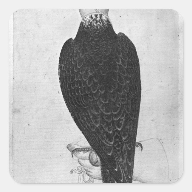 Hawk on hand square sticker (Front)
