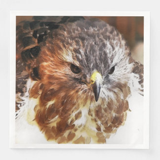 HAWK PAPER DINNER NAPKINS