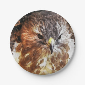 HAWK PAPER PLATES