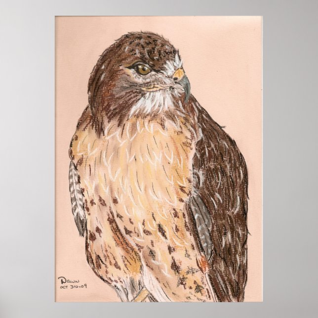 Hawk Poster (Front)