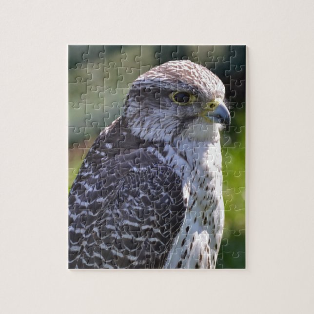 Hawk Puzzle/Jigsaw with Tin Jigsaw Puzzle (Vertical)
