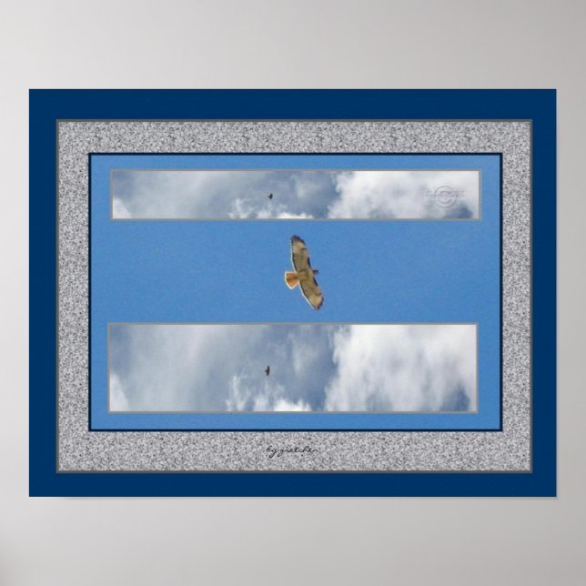 Hawk Soaring Collage 2 Photo Poster by gretchen (Front)