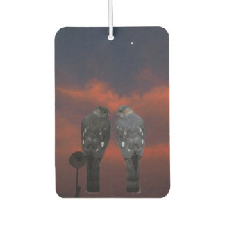 Hawk Storm Air Freshener