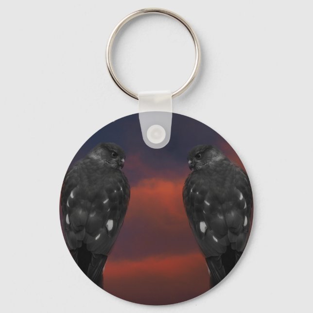 Hawk Storm Keychain (Front)
