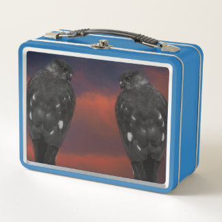 Hawk Storm Metal Lunch Box