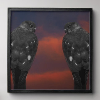 Hawk Storm Peel And Stick Photo Tile