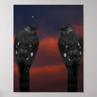 Hawk Storm Poster